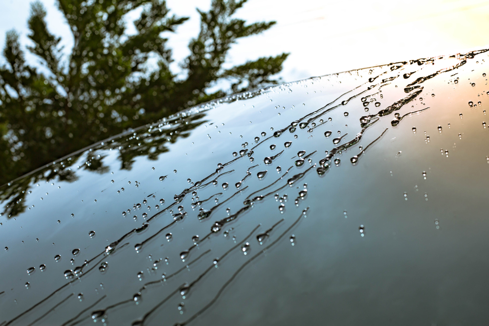 hydrophobic car windshield